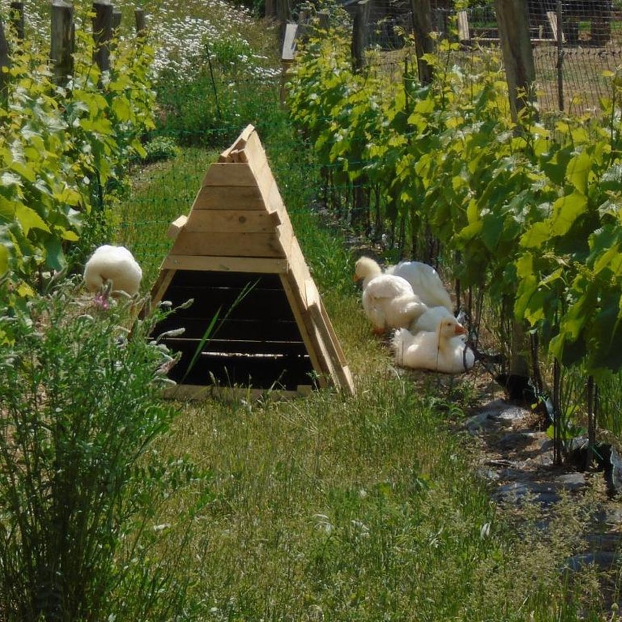 Hrbkovi Květen 2018