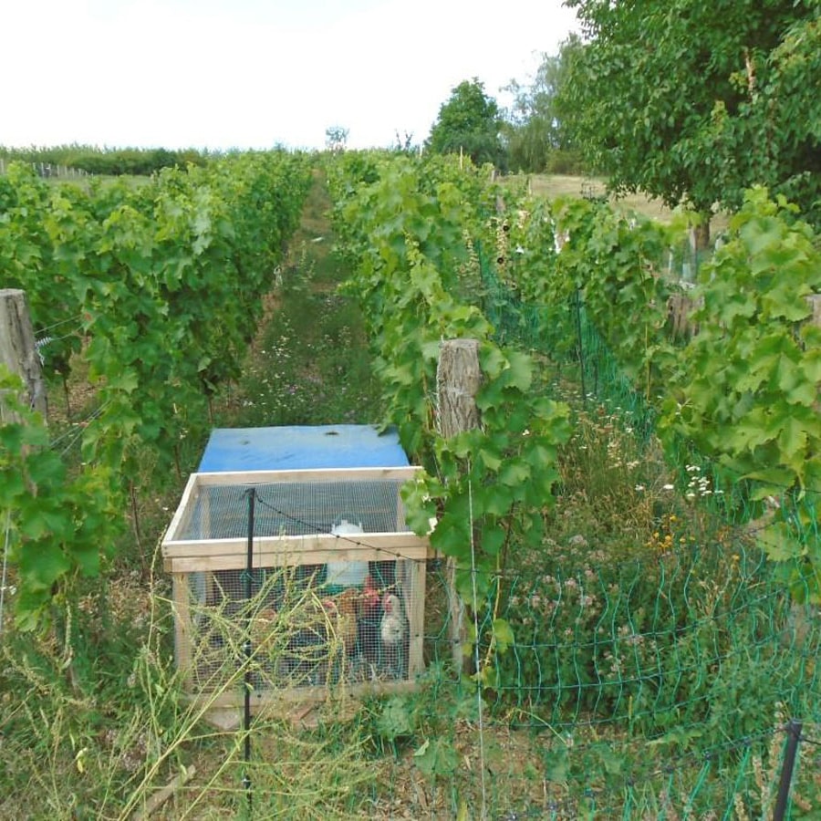 Hrbkovi Červenec 2018