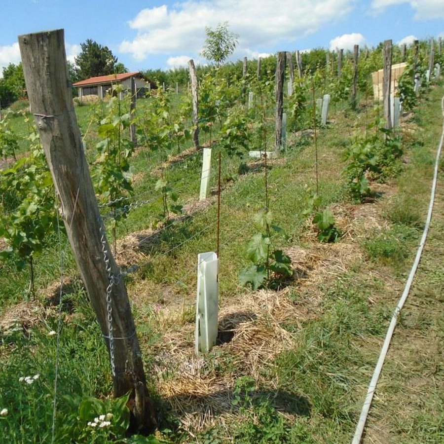 Hrbkovi Květen 2018