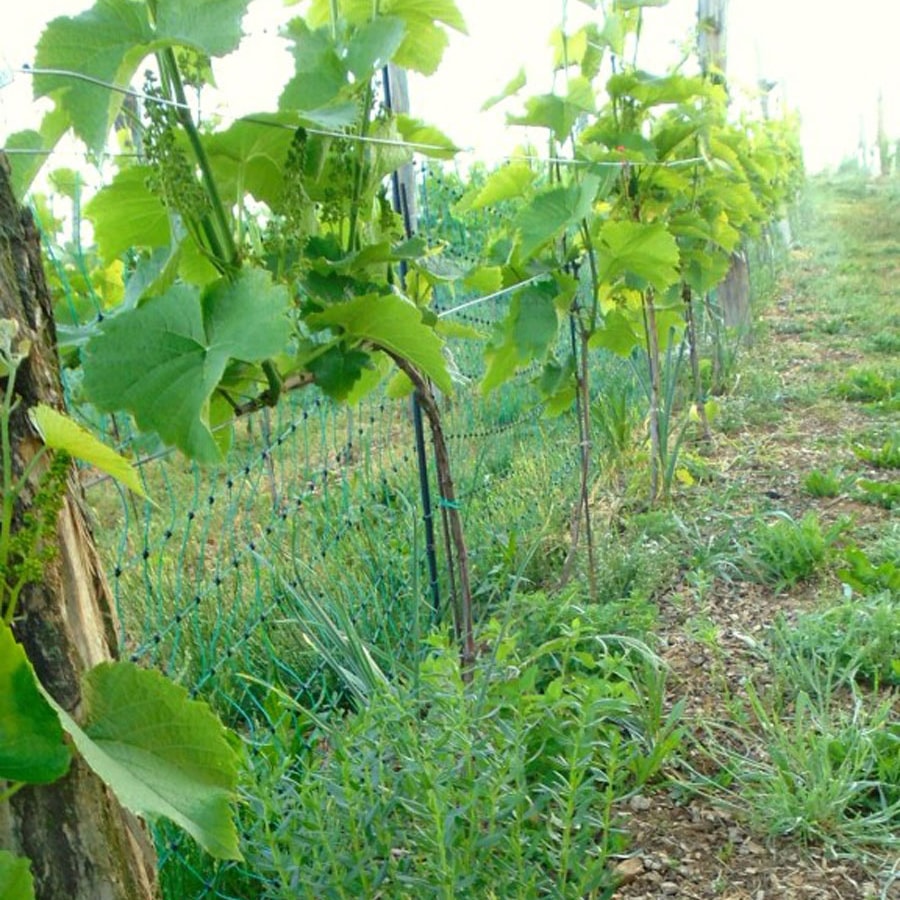 Hrbkovi Květen 2018