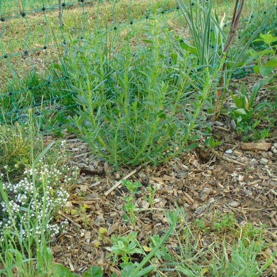 Hrbkovi Květen 2018