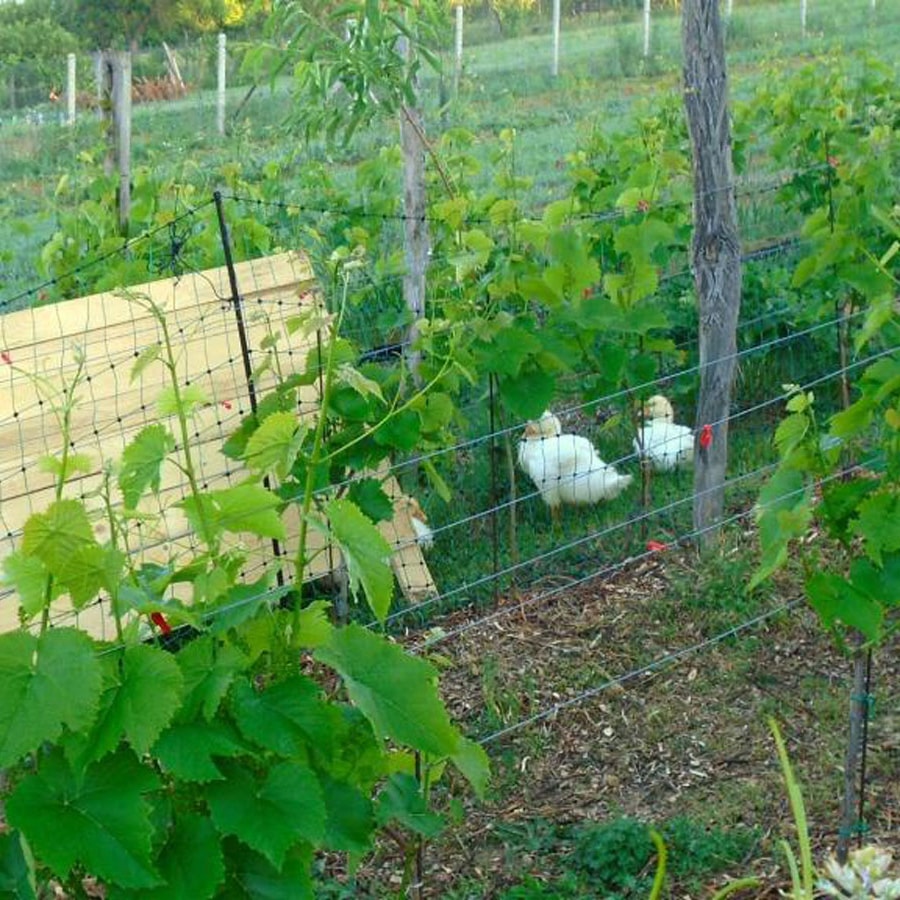 Hrbkovi Květen 2018