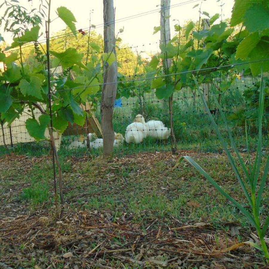 Hrbkovi Květen 2018