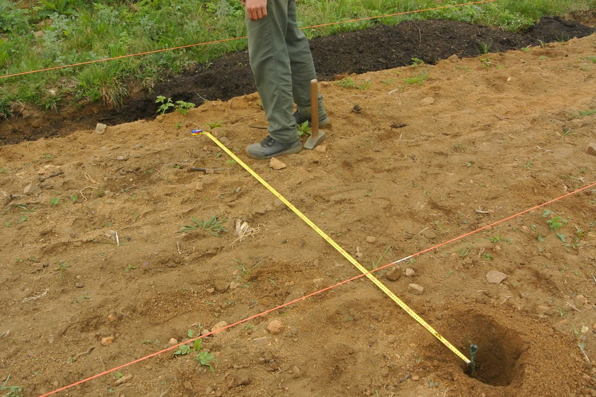sázení vinařský spolek Střelice