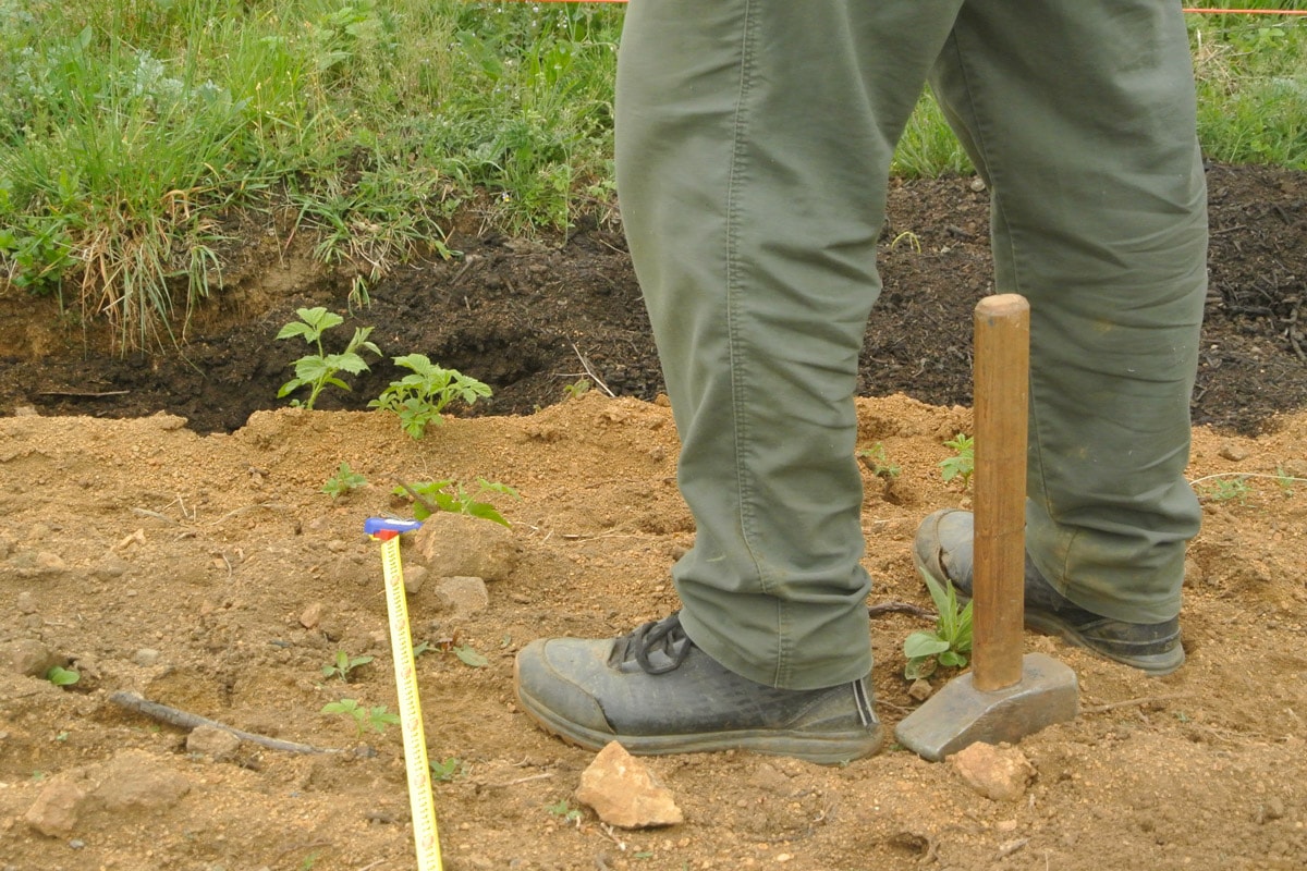 sázení vinařský spolek Střelice