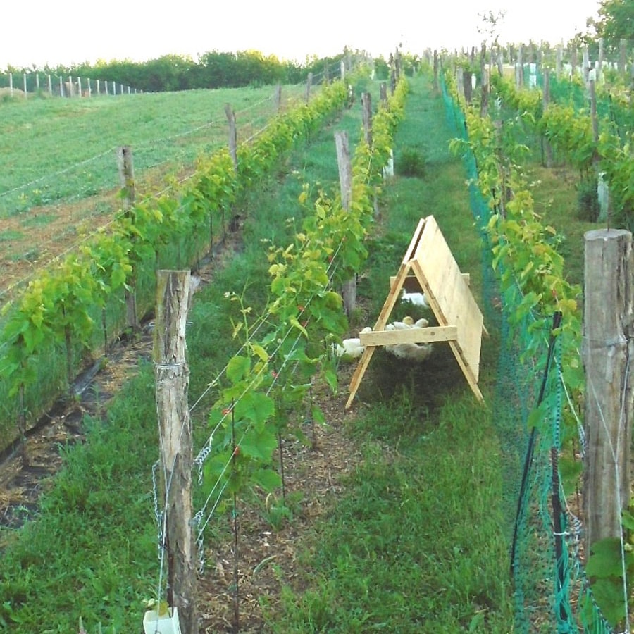 Hrbkovi Květen 2018