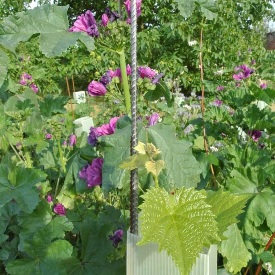 Hrbkovi Solaris, červenec 2015