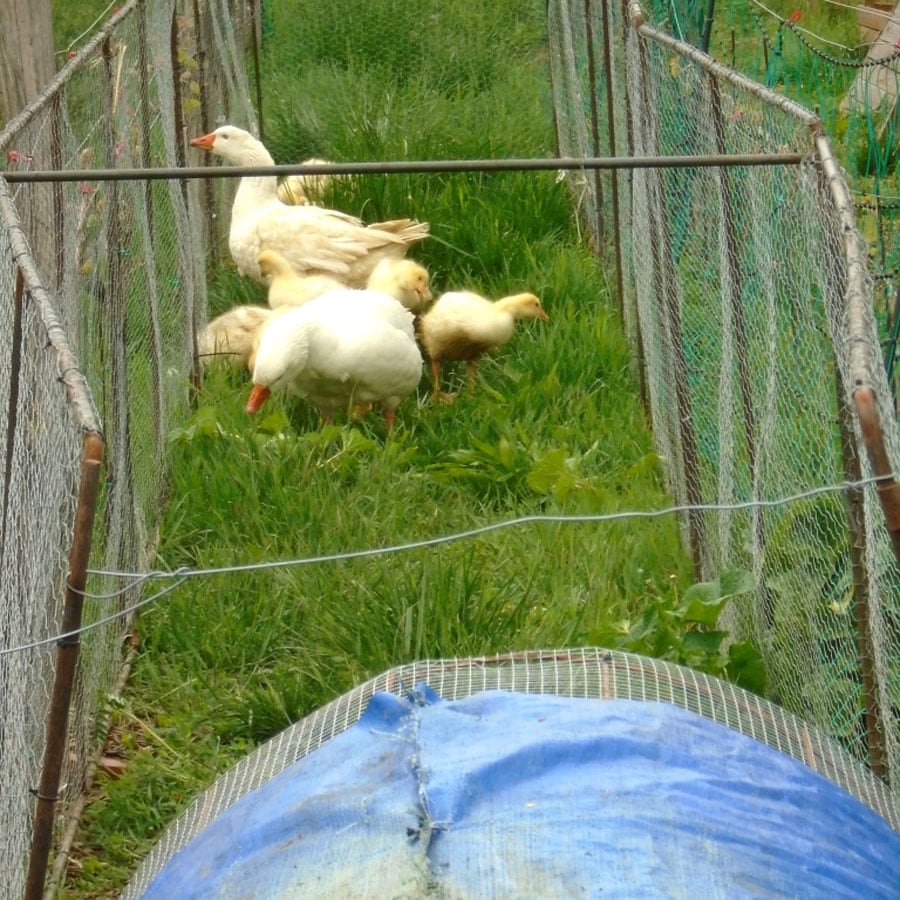 Hrbkovi Květen 2019