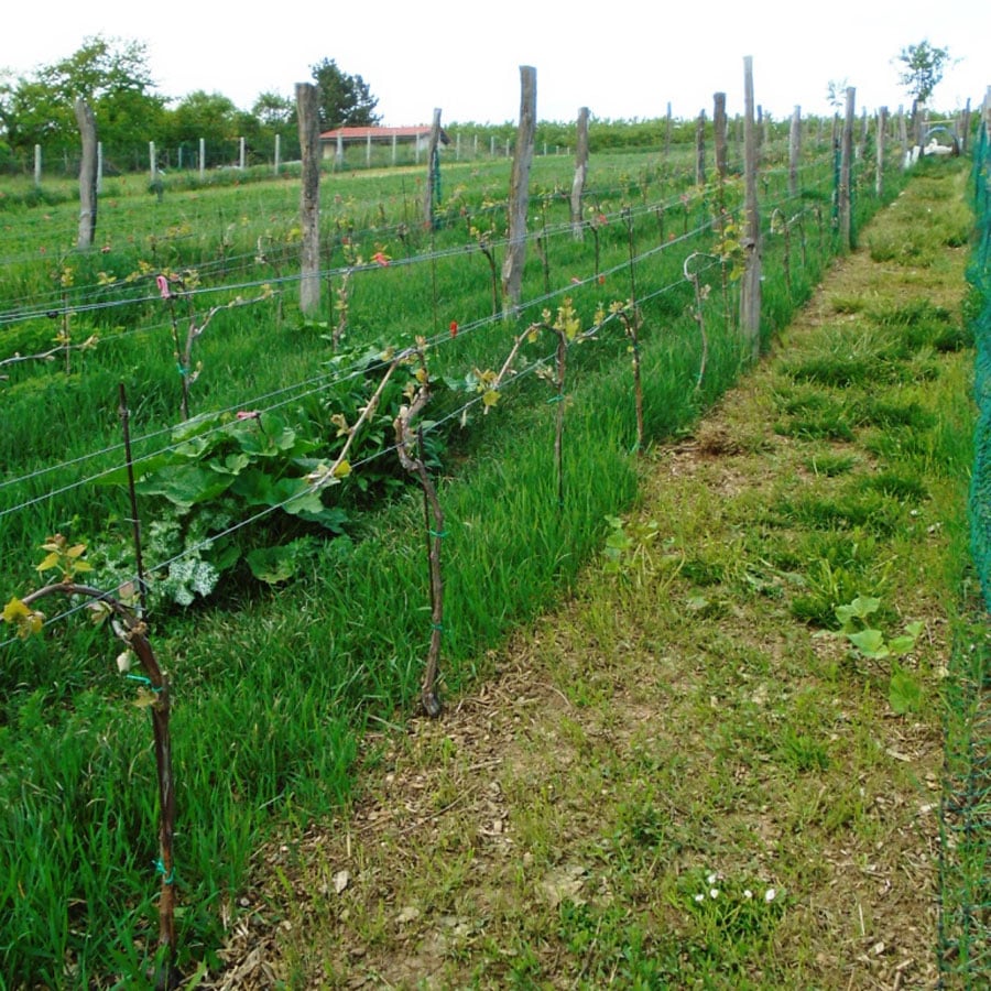 Hrbkovi Květen 2019