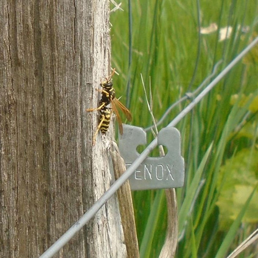 Hrbkovi Květen 2019